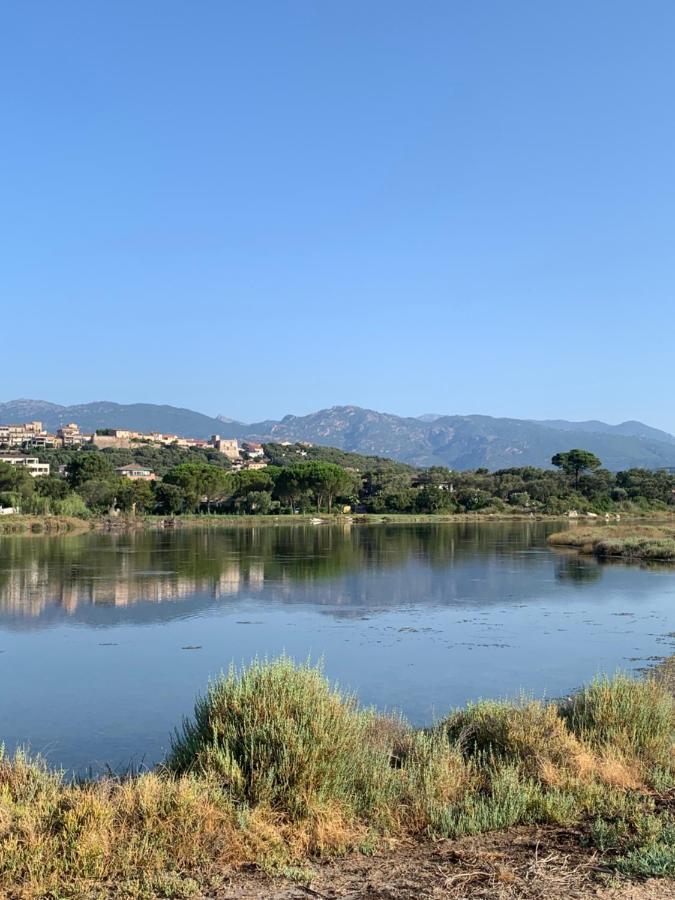 F2 Salines De Vecchio * Porto-Vecchio (Corsica)
