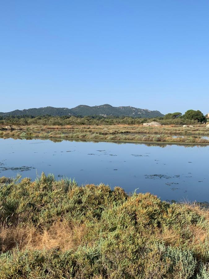 Apartment F2 Salines De Vecchio