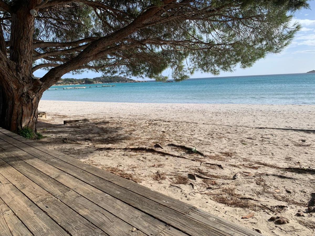F2 Salines De Vecchio Porto-Vecchio (Corsica)