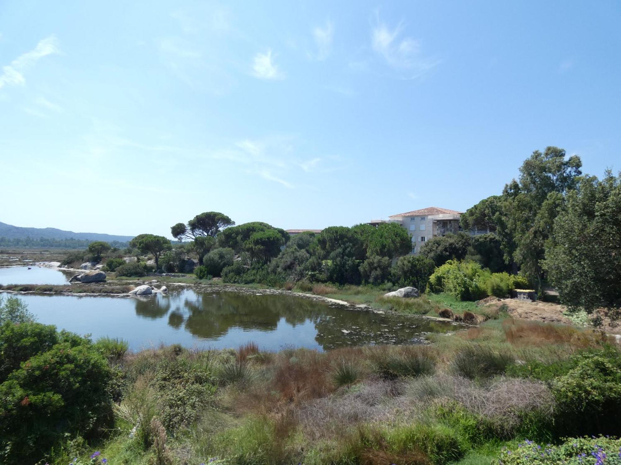 F2 Salines De Vecchio Porto-Vecchio (Corsica)