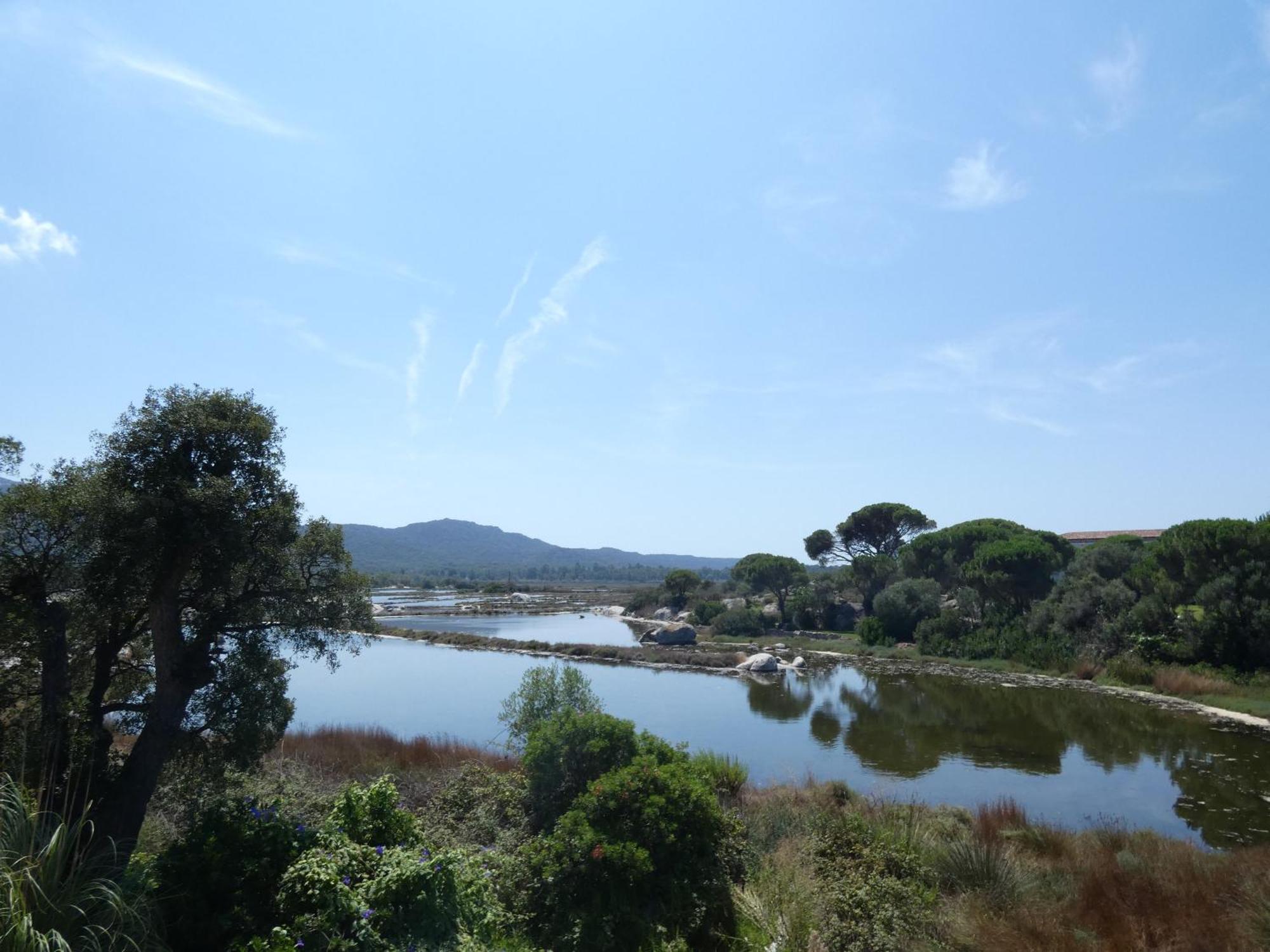 Apartment F2 Salines De Vecchio *
